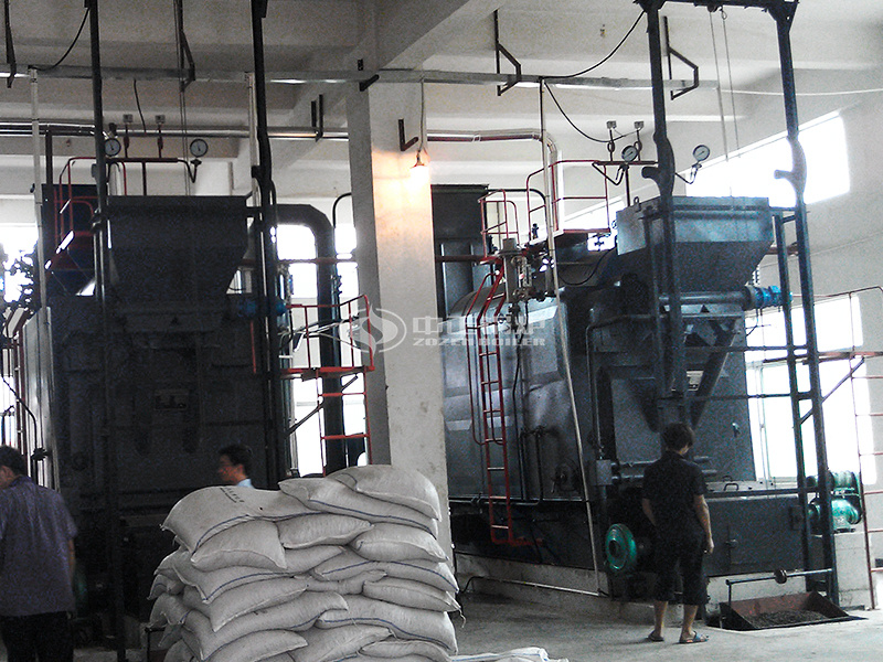 武漢俊琿物業(yè)10噸DZL系列生物質(zhì)供熱鍋爐項目